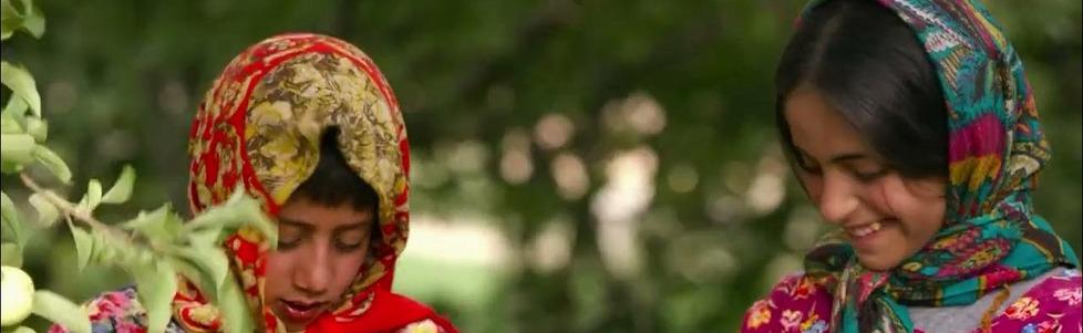 جراء  ذئاب وادي التفاح